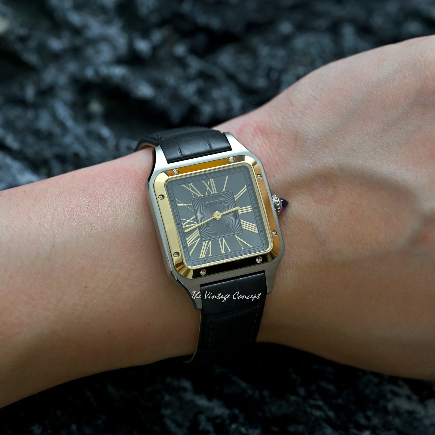 Cartier Two-Tones Santos Dumont with Leather Strap W2SA0028 (Box set)