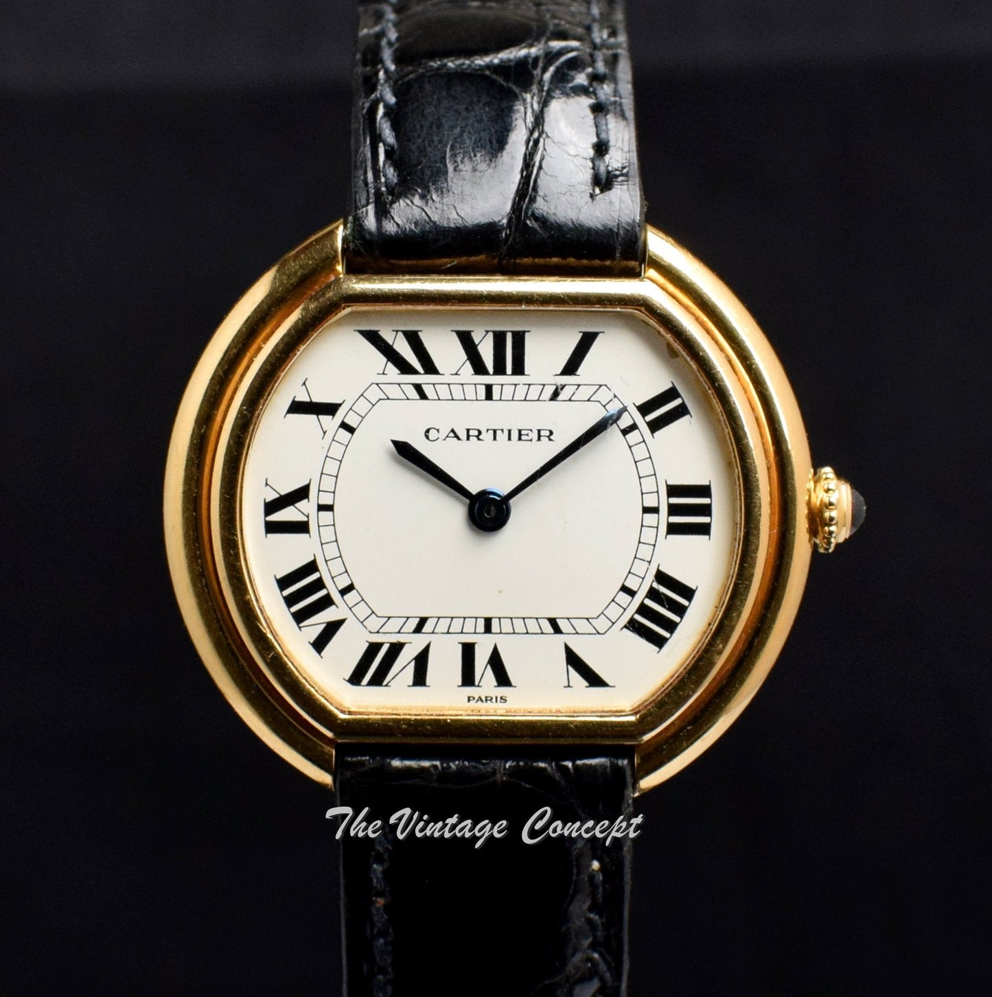 Vintage Cartier 18K YG Ellipse Manual Wind Paris Dial (SOLD)