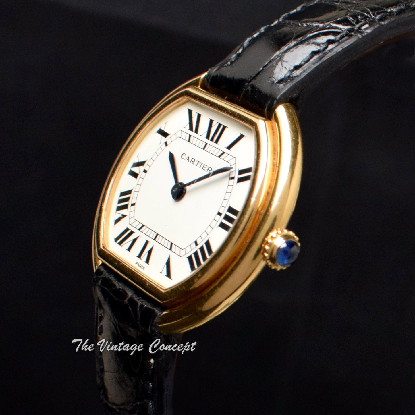 Vintage Cartier 18K YG Ellipse Manual Wind Paris Dial (SOLD)