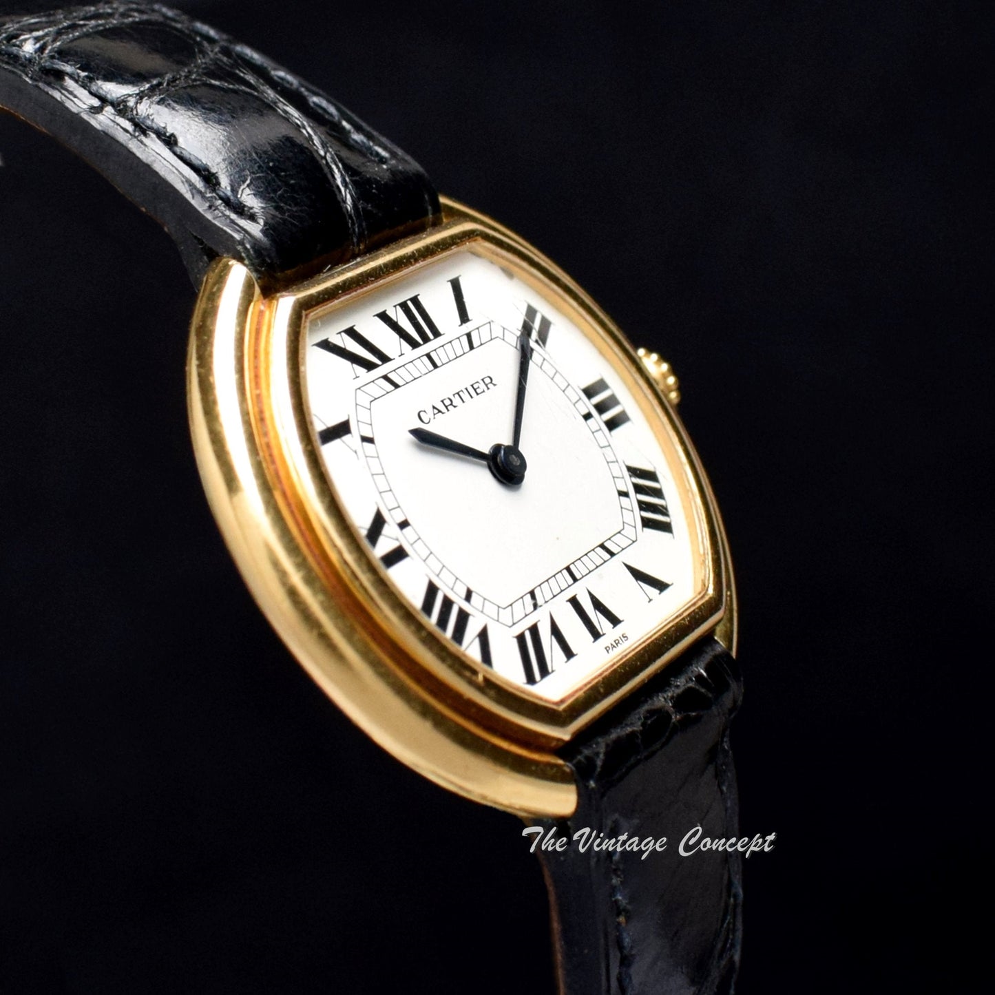 Vintage Cartier 18K YG Ellipse Manual Wind Paris Dial (SOLD)