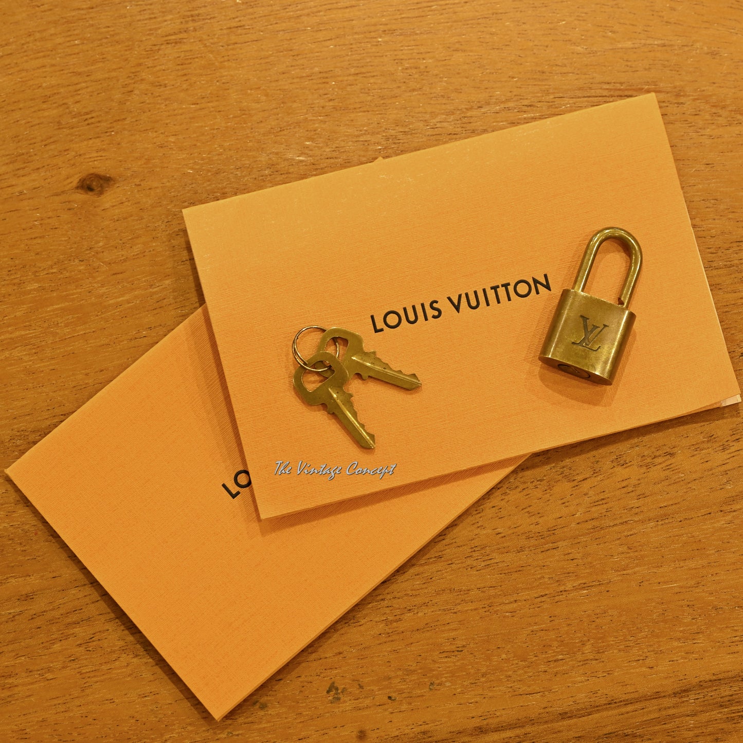 Vintage LOUIS VUITTON Suit Case