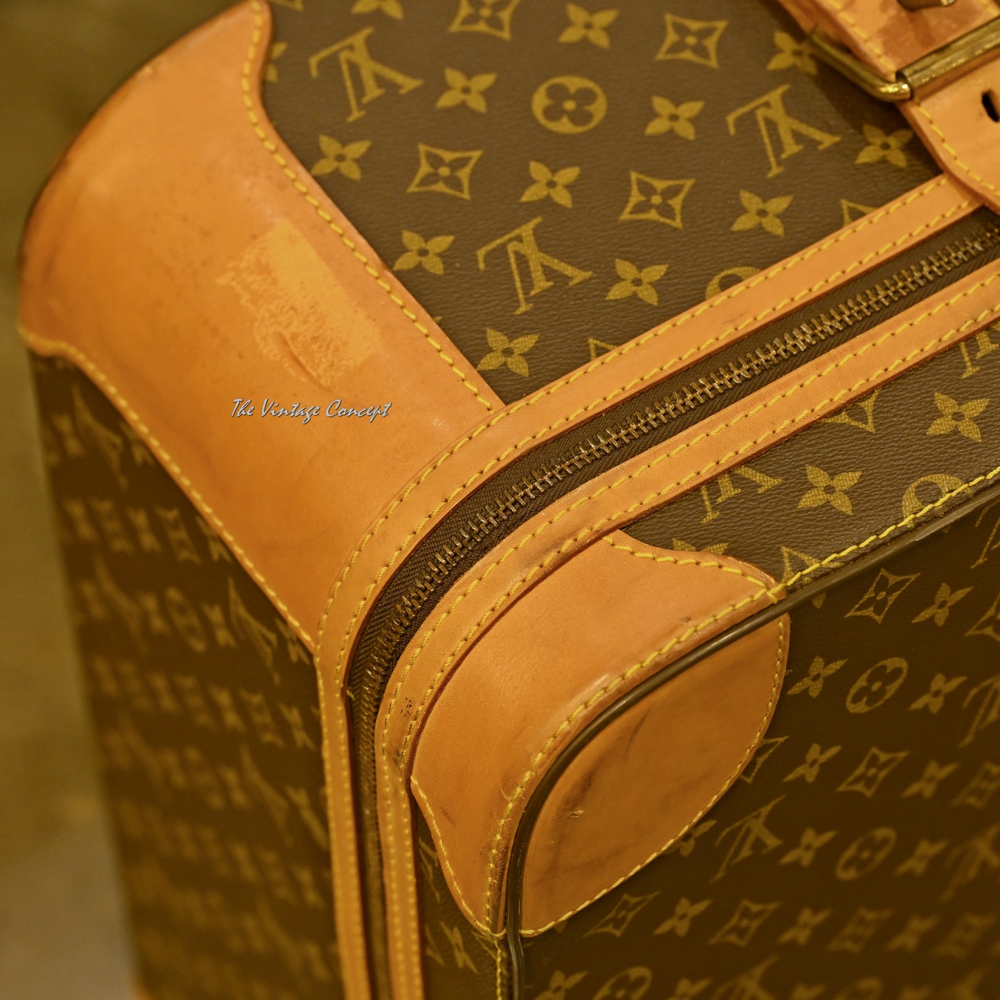 Vintage LOUIS VUITTON Suit Case