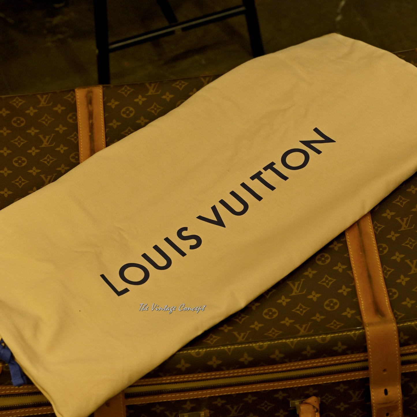 Vintage LOUIS VUITTON Suit Case