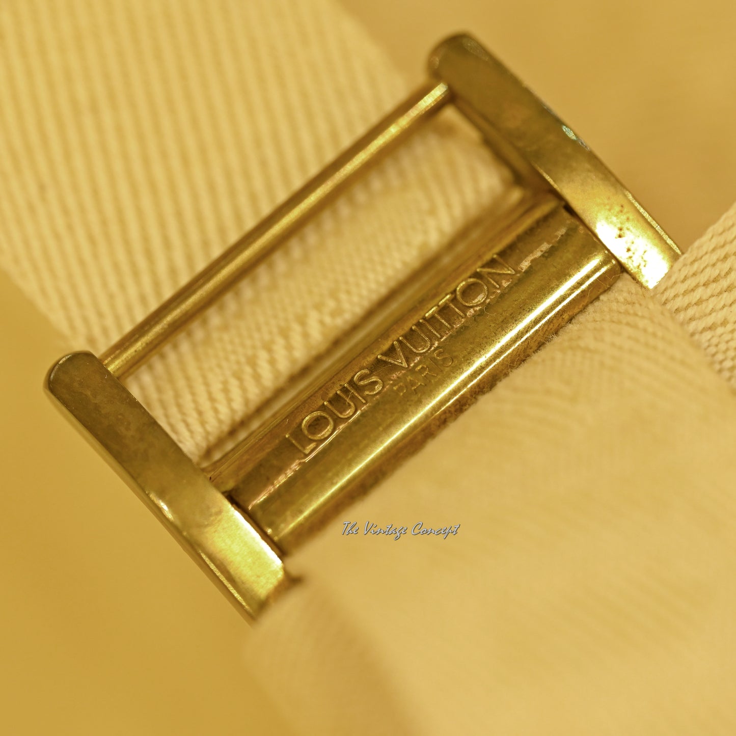 Vintage LOUIS VUITTON Suit Case