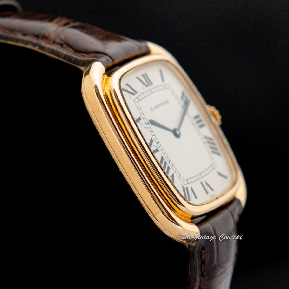 Rare Cartier 18K Yellow Gold Gondole Jumbo Vertical Paris Dial 9705 (SOLD)