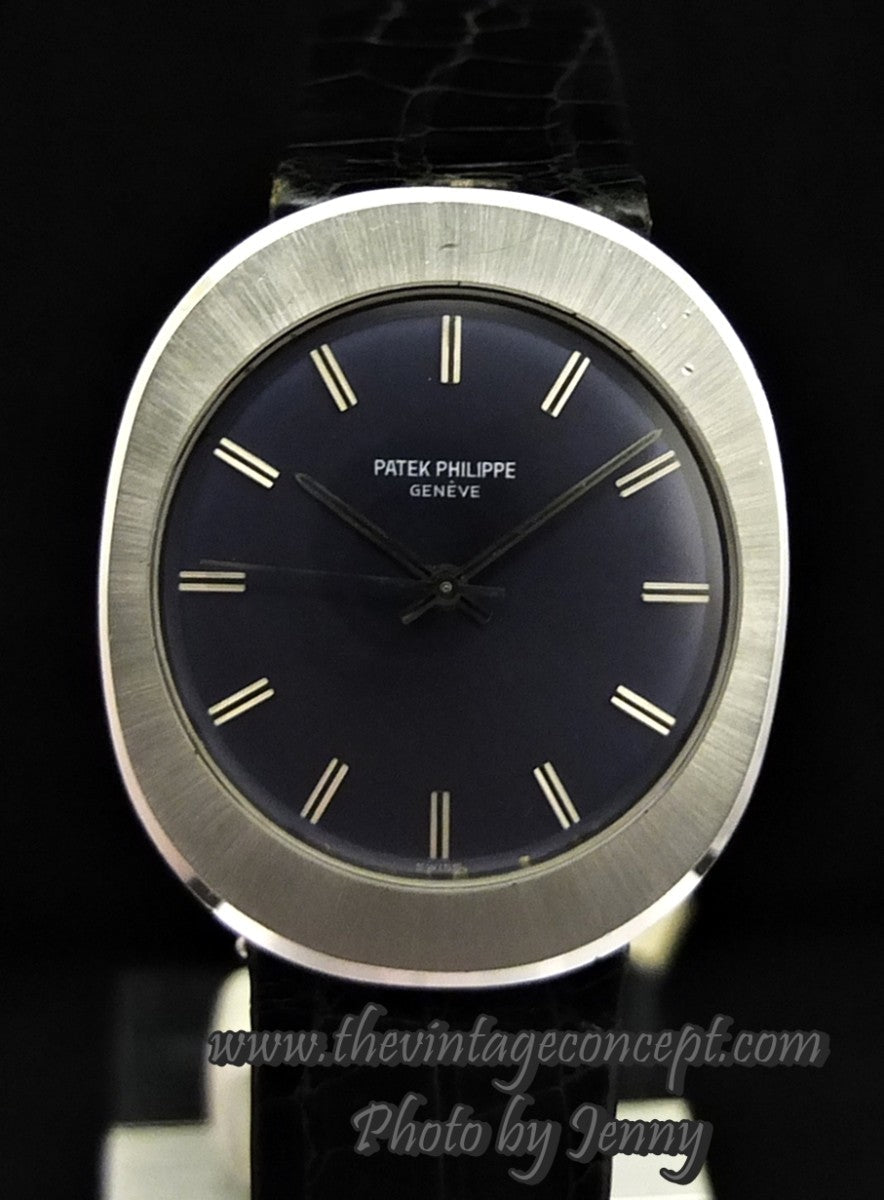 Patek Philippe Steel Purple Dial 3580   ( SOLD )