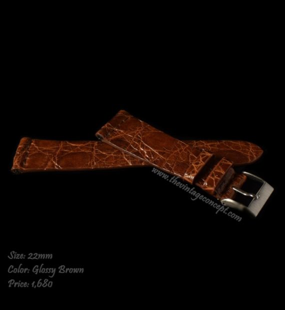 22 x 16mm Glossy Brown Crocodile Strap - The Vintage Concept