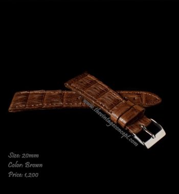 20 x 16mm Brown Crocodile Strap ( SOLD ) - The Vintage Concept